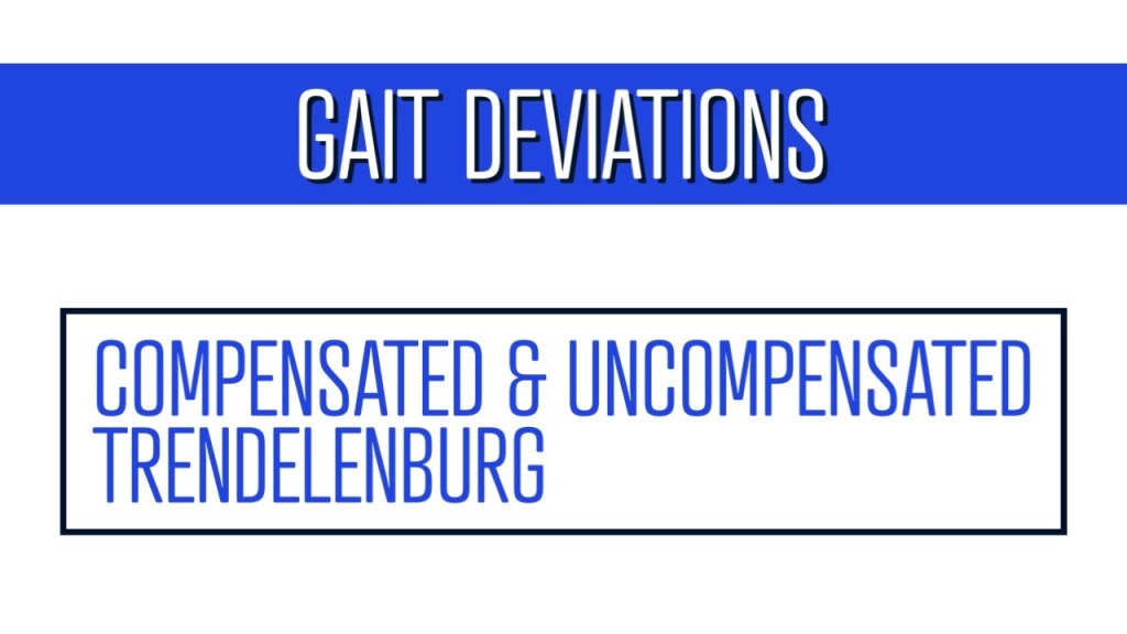 Picture of: Compensated and Uncompensated Trendelenburg Gait Patterns Explained
